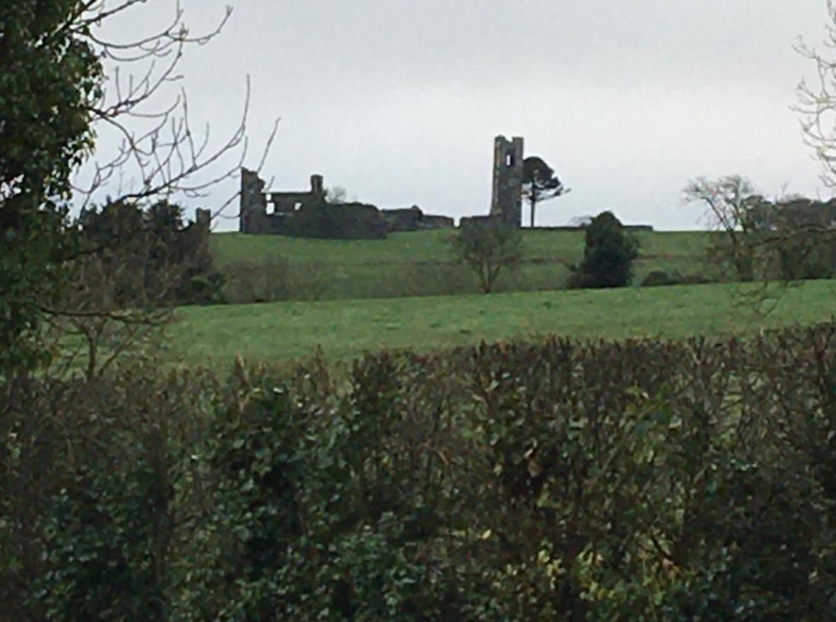 Grangegeeth Inn Slane Luaran gambar